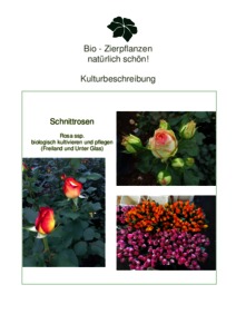 Organic Eprints Kulturbeschreibungen Bio Zierpflanzen (Geranien